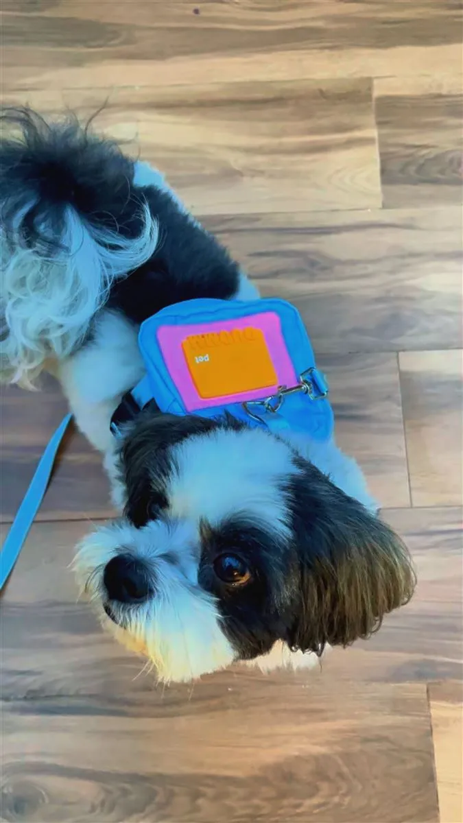 Ozzy - pet content